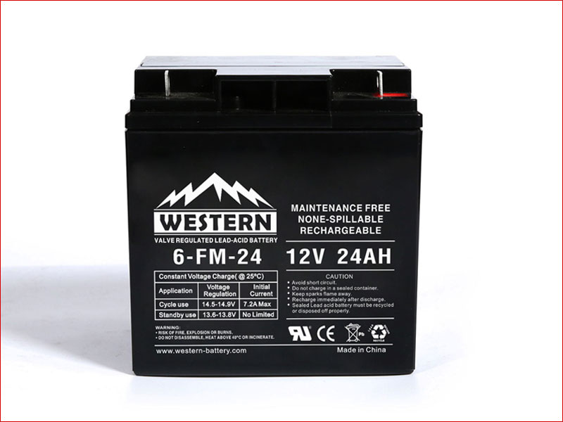 6-FM-24 FM Series UPS Battery